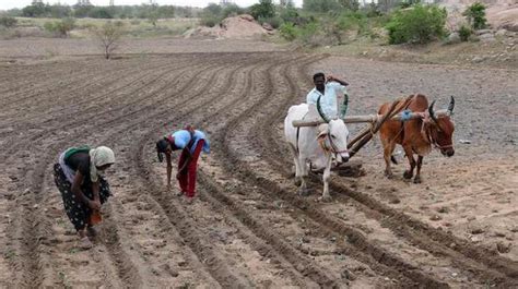 Discovering the Depths of Indian Agriculture: A Journey Through 'Dryland Farming in India