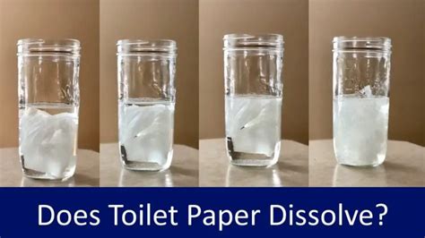 Does Toilet Paper Dissolve in Water? And Why Do Fish Never Use It?