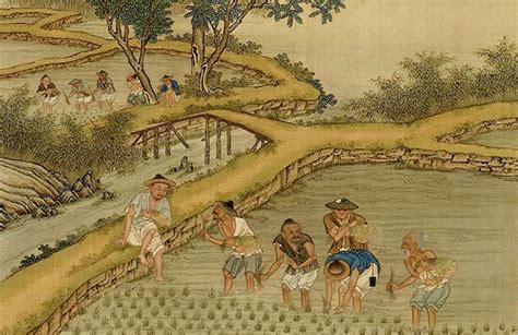 Embracing Earth Wisdom: An Exploration of Traditional Chinese Agricultural Practices