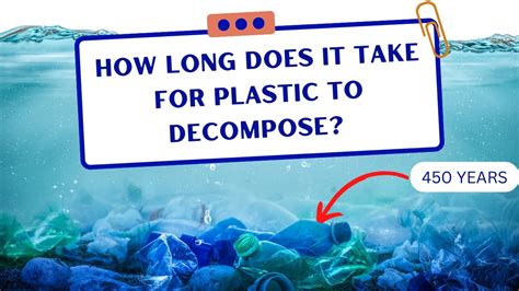 How Long Does It Take for a Paper Towel to Decompose? And Why Do We Still Use Them in Space?