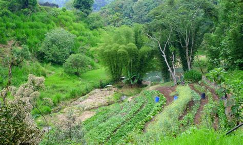  Knowledge for Sustainable Agriculture: Cultivating Wisdom in the Mexican Landscape