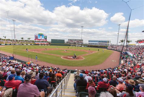 Where Can I Watch Braves Spring Training Games: A Journey Through Fandom and Beyond